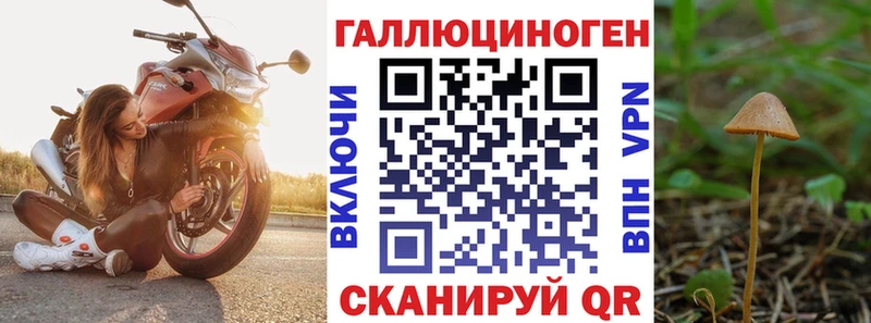 Купить закладки  Мытищи  Галлюциногенные грибы GOLDEN TEACHER 